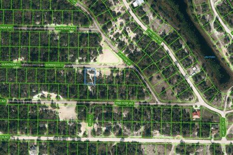 Land in Lake Placid, Florida № 2224024