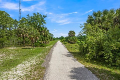 Land in Englewood, Florida № 1525243 - photo 28