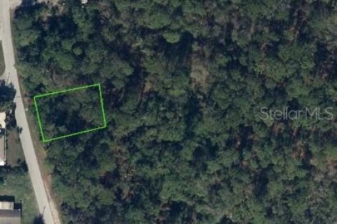 Land in Lake Placid, Florida № 2162250