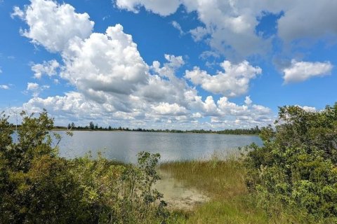 Terrain à Placida, Floride № 2235575