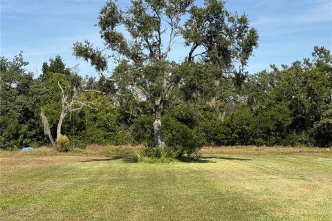 Casa en venta en Palmetto, Florida, 1 dormitorio, 53.51 m2 № 2099084 - foto 5