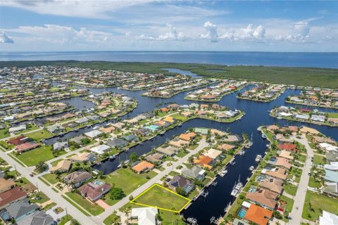 Terreno en venta en Punta Gorda, Florida № 1534872 - foto 5