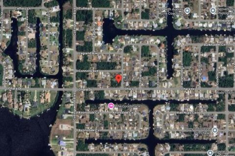 Land in Port Charlotte, Florida № 2228786 - photo 2