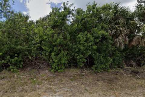 Land in Port Charlotte, Florida № 2228786 - photo 4