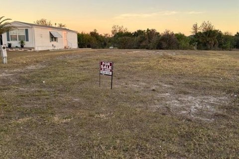 Land in Port Charlotte, Florida № 1520007 - photo 2