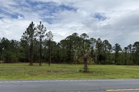 Terrain à Cedar Key, Floride № 2214679