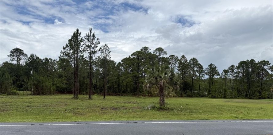 Terrain à Cedar Key, Floride № 2214679