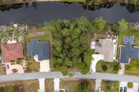 Land in Palm Coast, Florida № 1540980 - photo 1