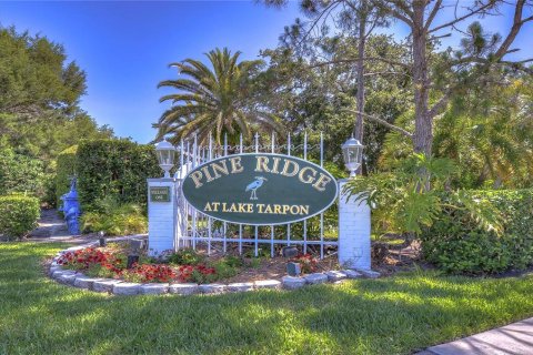 Casa en alquiler en Tarpon Springs, Florida, 2 dormitorios, 123.56 m2 № 1918826 - foto 20