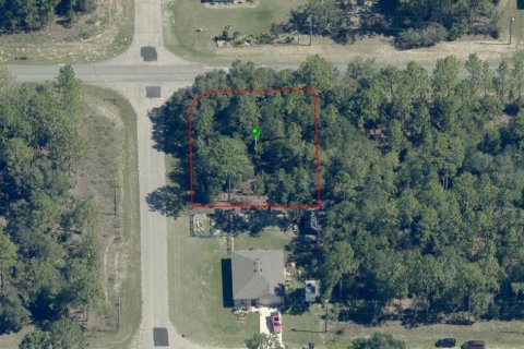 Land in Citrus Springs, Florida № 2160262
