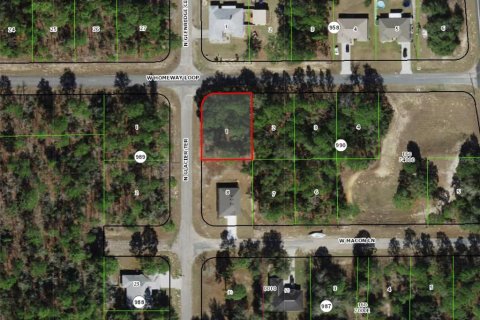 Land in Citrus Springs, Florida № 2160262 - photo 2