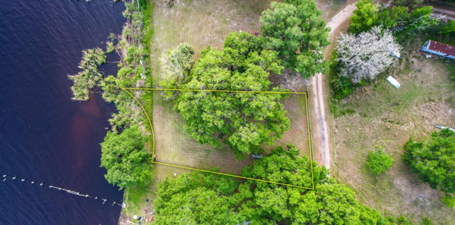 Land in Palatka, Florida № 766601