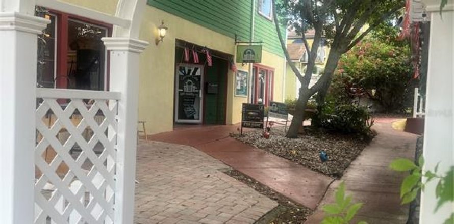 Immobilier commercial à Mount Dora, Floride 1245.91 m2 № 1879094