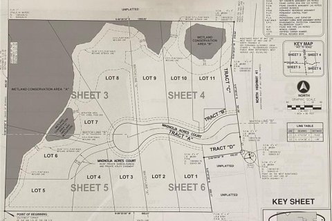 Terreno en venta en Lutz, Florida № 1347349 - foto 4