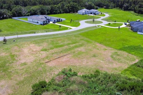 Terreno en venta en Lutz, Florida № 1347349 - foto 2