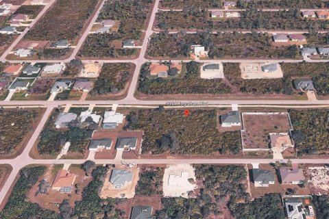 Land in Port Charlotte, Florida № 2166014 - photo 6