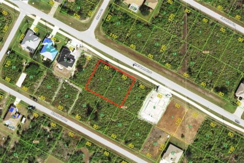 Land in Port Charlotte, Florida № 2166014