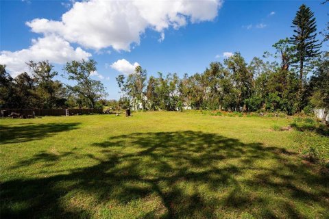 Terrain à vendre à Largo, Floride № 2399095 - photo 5
