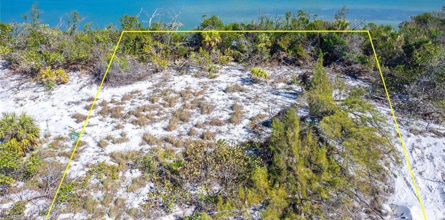 Terrain à Placida, Floride № 1562569