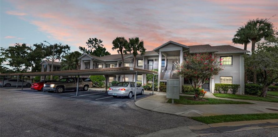 Condo à Dunedin, Floride, 2 chambres  № 1872859