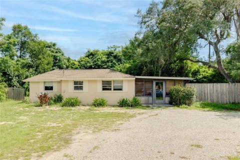 Villa ou maison à Mount Dora, Floride 2 chambres, 100.06 m2 № 2291745