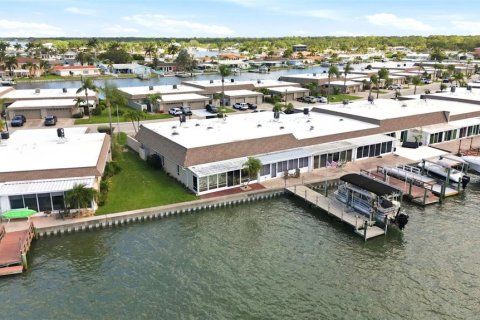 House in Saint Petersburg, Florida 2 bedrooms, 149.02 sq.m. № 2230019