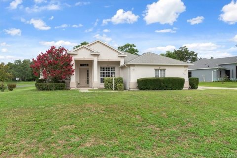 Villa ou maison à vendre à Hernando, Floride: 3 chambres, 170.1 m2 № 1769677 - photo 1