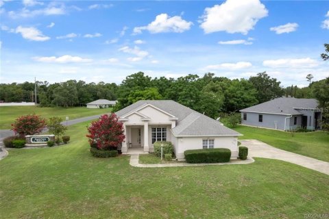 Villa ou maison à vendre à Hernando, Floride: 3 chambres, 170.1 m2 № 1769677 - photo 3