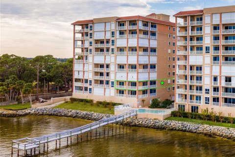 Купить кондоминиум в Тайтусвилл, Флорида 3 комнаты, 250.84м2, № 926668 - фото 3
