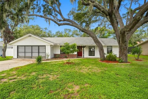 Villa ou maison à Spring Hill, Floride 2 chambres, 117.8 m2 № 2329327
