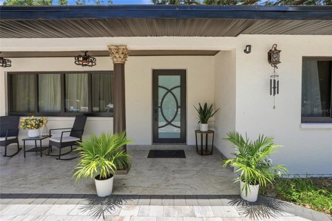 House in Tampa, Florida 4 bedrooms, 250.46 sq.m. № 2101952