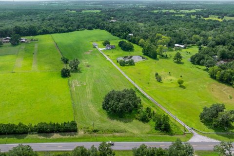 Land in Floral City, Florida № 1827850 - photo 4