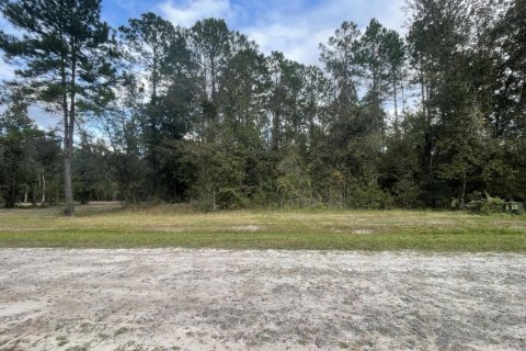 Land in Callahan, Florida № 806954 - photo 1