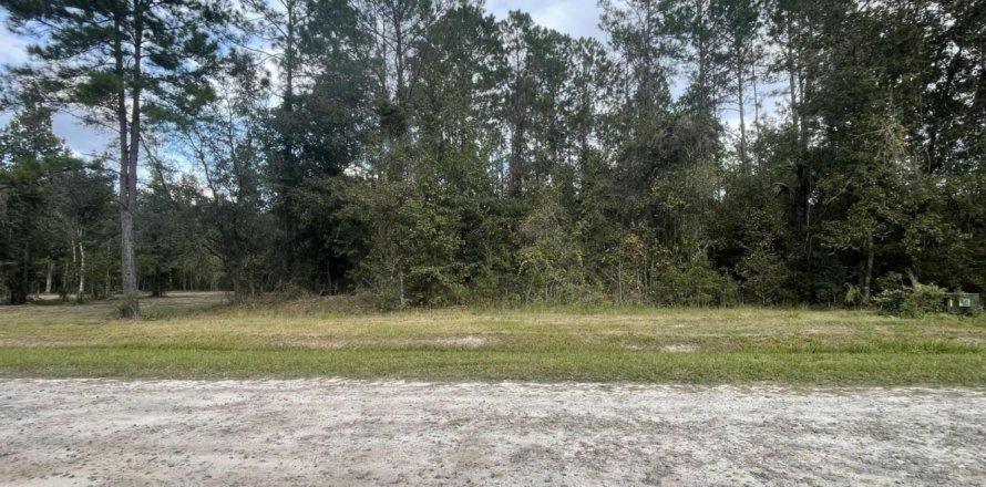 Land in Callahan, Florida № 806954