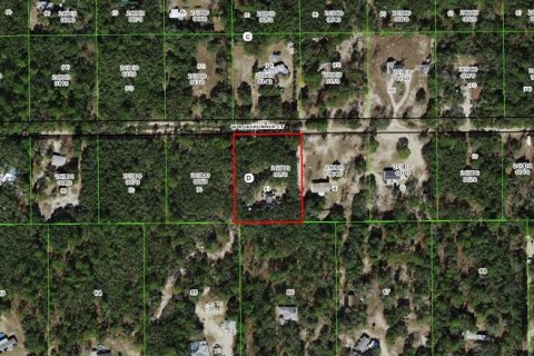 Land in Homosassa, Florida № 2091473 - photo 21