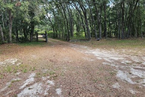 Land in Homosassa, Florida № 2091473 - photo 12