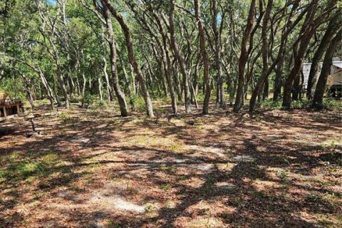 Land in Homosassa, Florida № 2091473 - photo 2