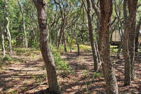 Land in Homosassa, Florida № 2091473 - photo 3