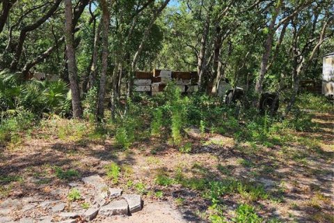 Land in Homosassa, Florida № 2091473 - photo 17