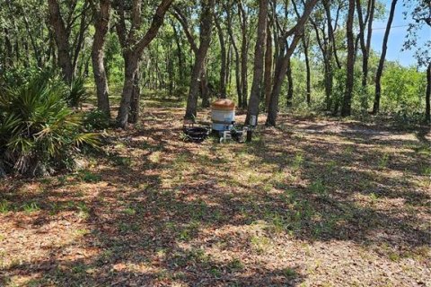 Land in Homosassa, Florida № 2091473