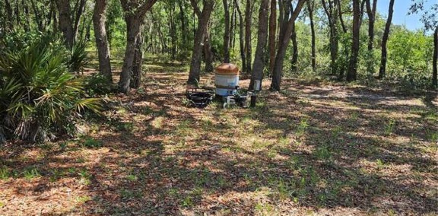 Land in Homosassa, Florida № 2091473