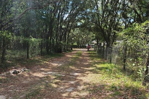 Land in Homosassa, Florida № 2091473 - photo 20