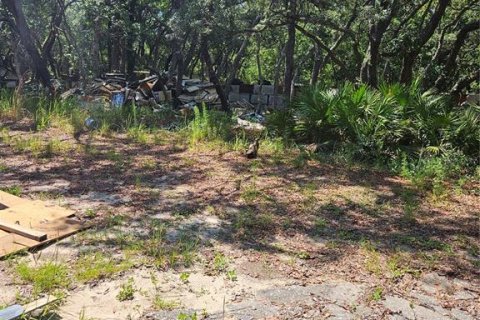 Land in Homosassa, Florida № 2091473 - photo 16