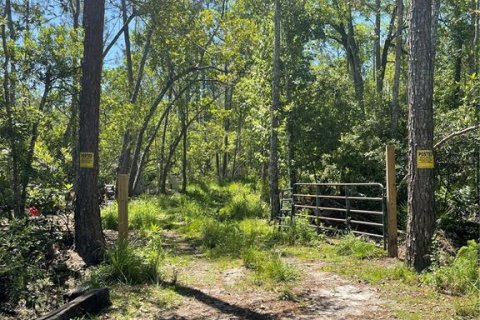 Land in Ormond Beach, Florida № 1767262 - photo 2