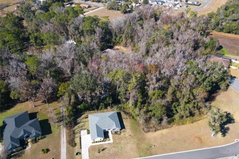 House in Belleview, Florida 3 bedrooms, 198.16 sq.m. № 2213413 - photo 8