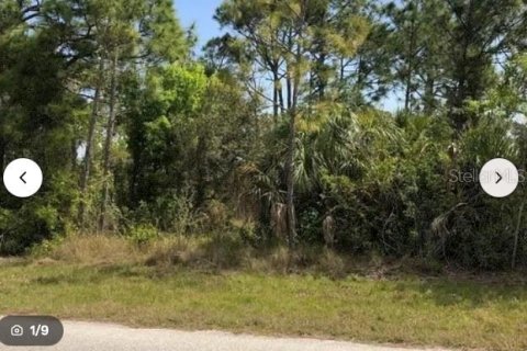 Land in Port Charlotte, Florida № 2162602