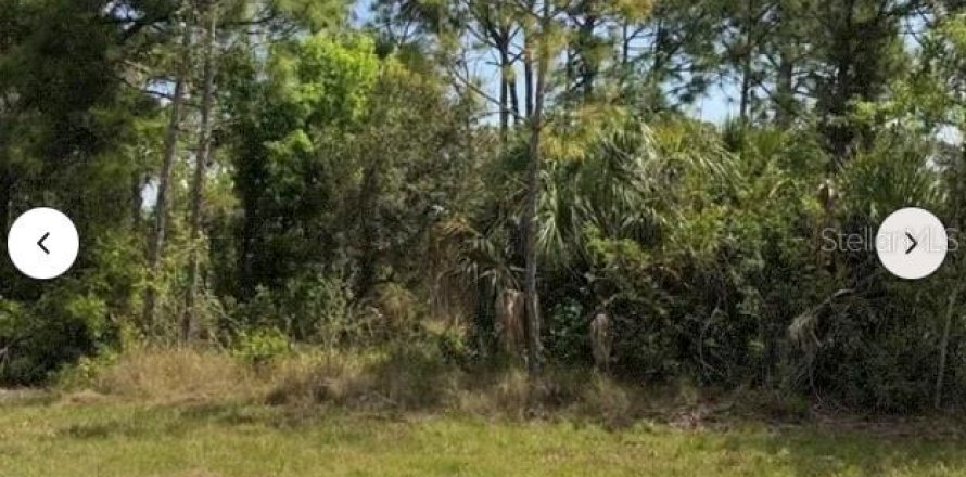 Land in Port Charlotte, Florida № 2162602