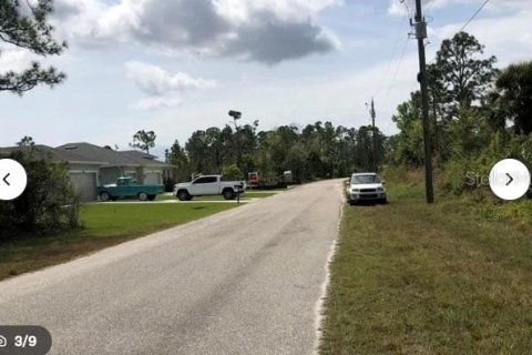 Land in Port Charlotte, Florida № 2162602 - photo 2