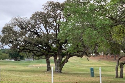 Land in Brooksville, Florida № 2212190 - photo 19