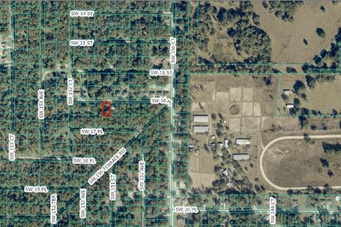Land in Ocala, Florida № 2384464 - photo 10